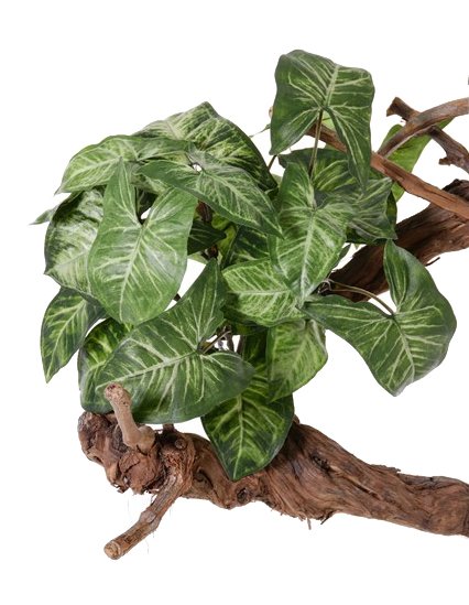 Nephthytisplant "Vital Greens" met 7 vertakkingen, 25 bladeren, 40 cm, Ø 35 cm - brandvertragend