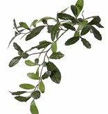 Oak branch (Austrian) Quercus 3x branched, with 60 leaves & 4 acorns, 67 cm - fire retardant