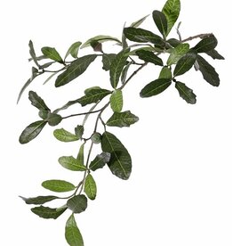 Eichenzweig (österreichisch) Quercus 3x verzweigt, mit 60 Blättern & 4 Eicheln, 67 cm - schwer entflammbar