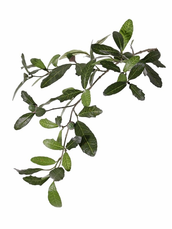 Oak branch (Austrian) Quercus 3x branched, with 60 leaves & 4 acorns, 67 cm - fire retardant