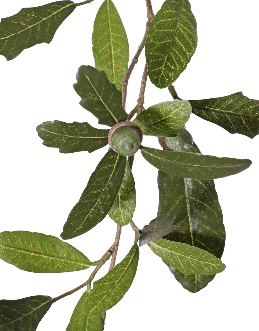 Oak branch (Austrian) Quercus 3x branched, with 60 leaves & 4 acorns, 67 cm - fire retardant