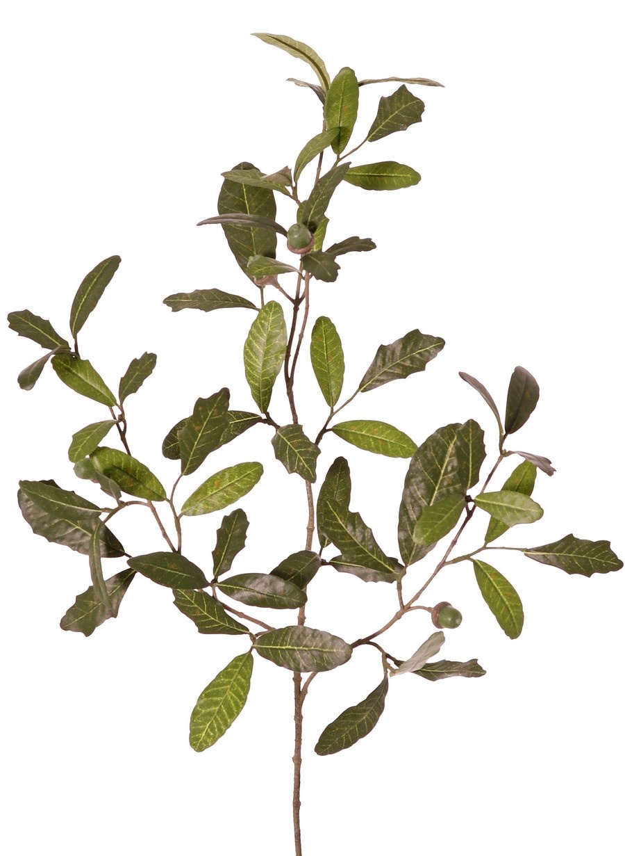 Oak branch (Austrian) Quercus 3x branched, with 60 leaves & 4 acorns, 67 cm - fire retardant
