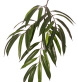 Ficus longifolia Zweig 5x verzweigt mit 37 Polyesterblättern, 82 cm, schwer entflammbar