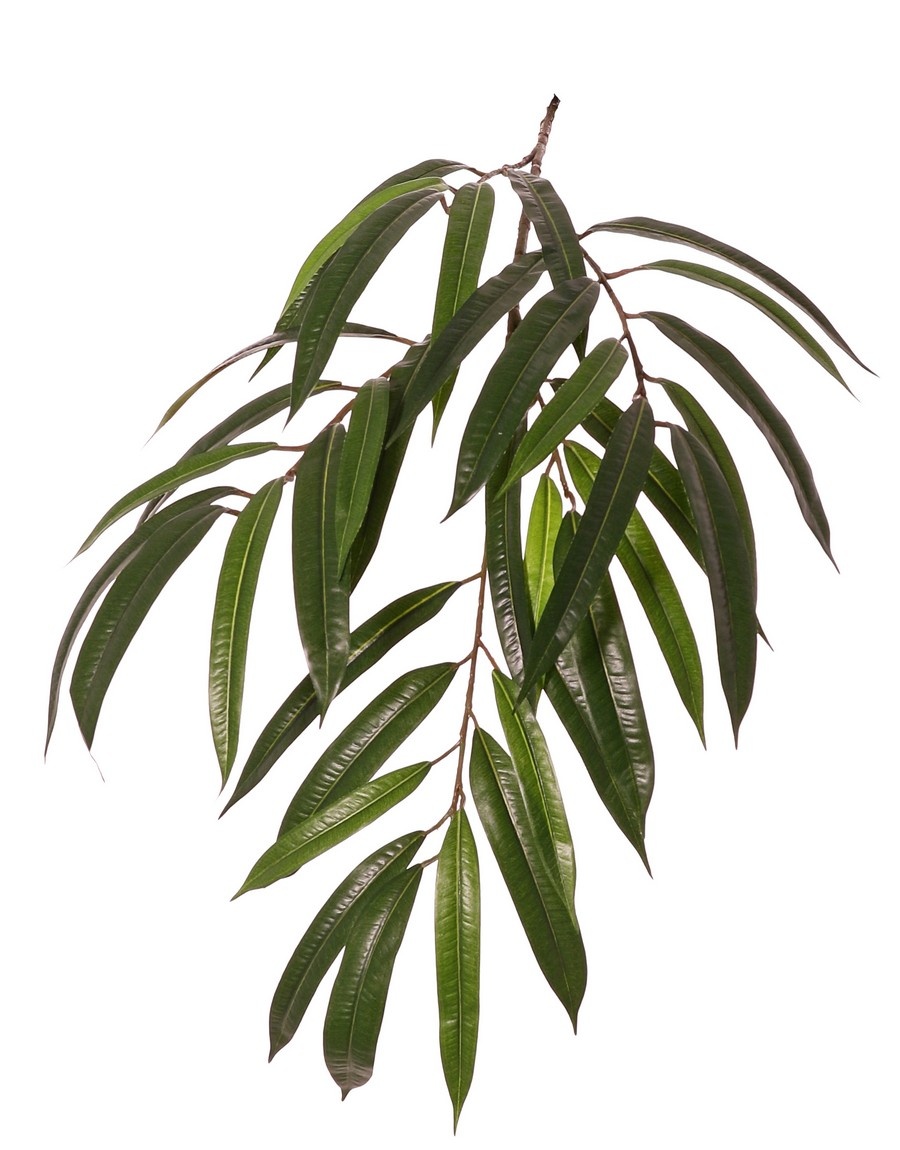 Ficus longifolia Zweig 5x verzweigt mit 37 Polyesterblättern, 82 cm, schwer entflammbar