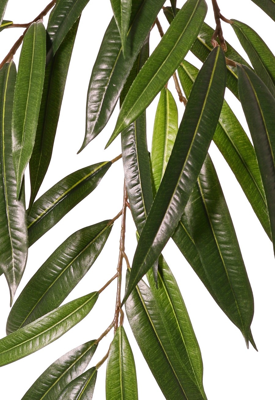 Ficus longifolia Zweig 5x verzweigt mit 37 Polyesterblättern, 82 cm, schwer entflammbar