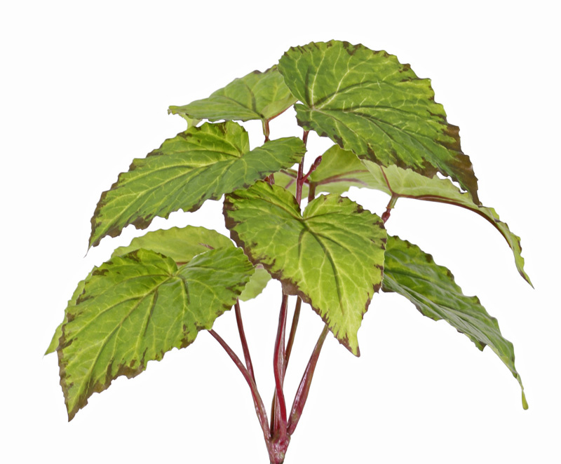 Begonia (Bladbegonia) met 9 polyester bladeren, ø 25 cm, brandvertragend