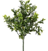 Boxwood-twig x36 tips of leaves 47cm, FIRE RETARDENT