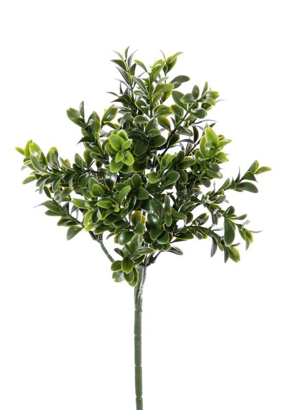 Boxwood-twig x36 tips of leaves 47cm, FIRE RETARDENT