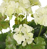 Geranium Franse (Pelargonium grandifl.), 72 bloemen & 58 blad, UV & H2O bestendig, Ø 30 H 39 cm