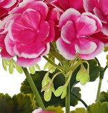Geranio francés (Pelargonium grandiflora), 72 flores, 58 hojas, resistente a los rayos UV y al agua, Ø 30 H. 39 cm