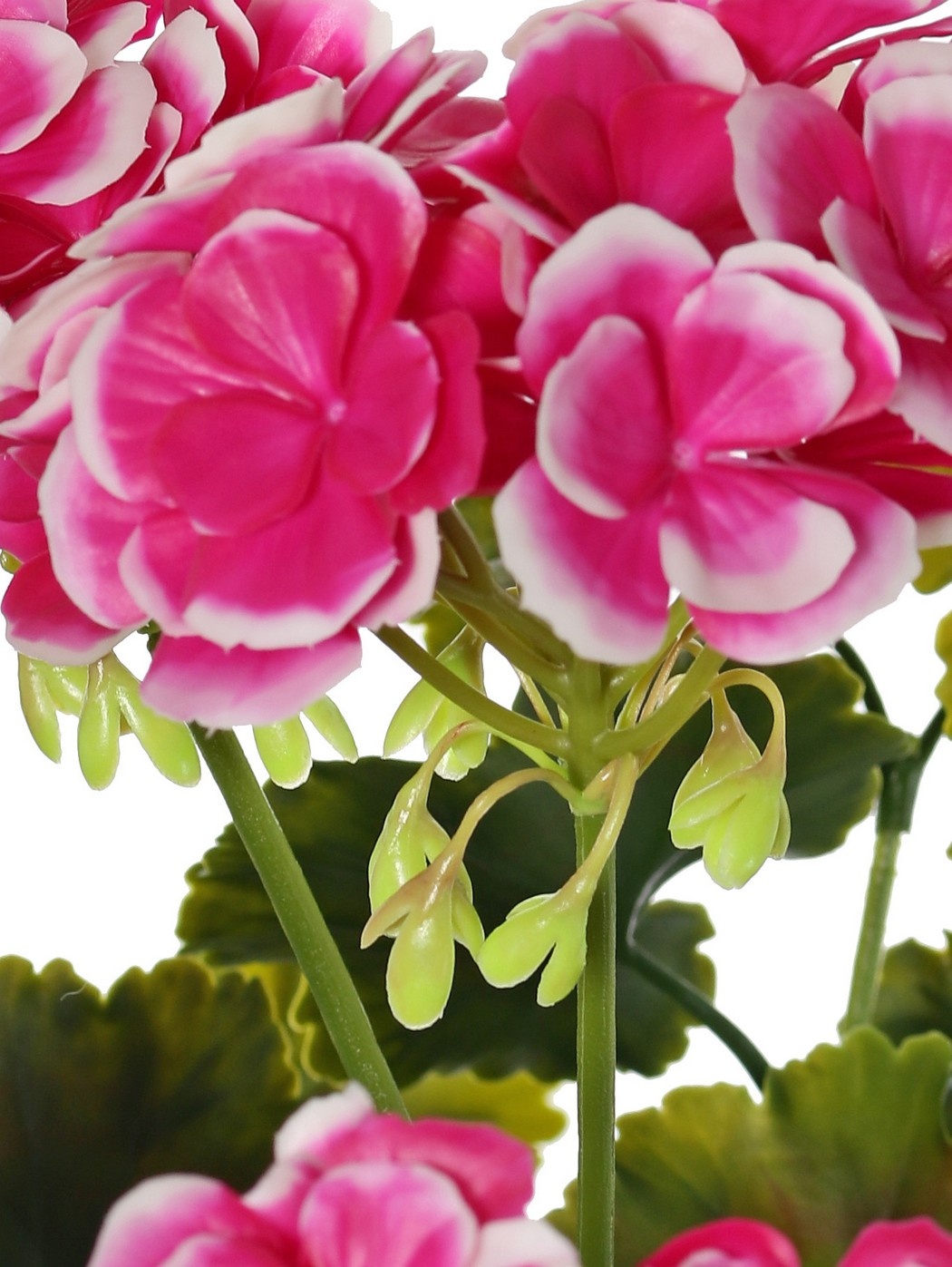 Geranium Franse (Pelargonium grandifl.), 72 bloemen & 58 blad, UV & H2O bestendig, Ø 30 H 39 cm