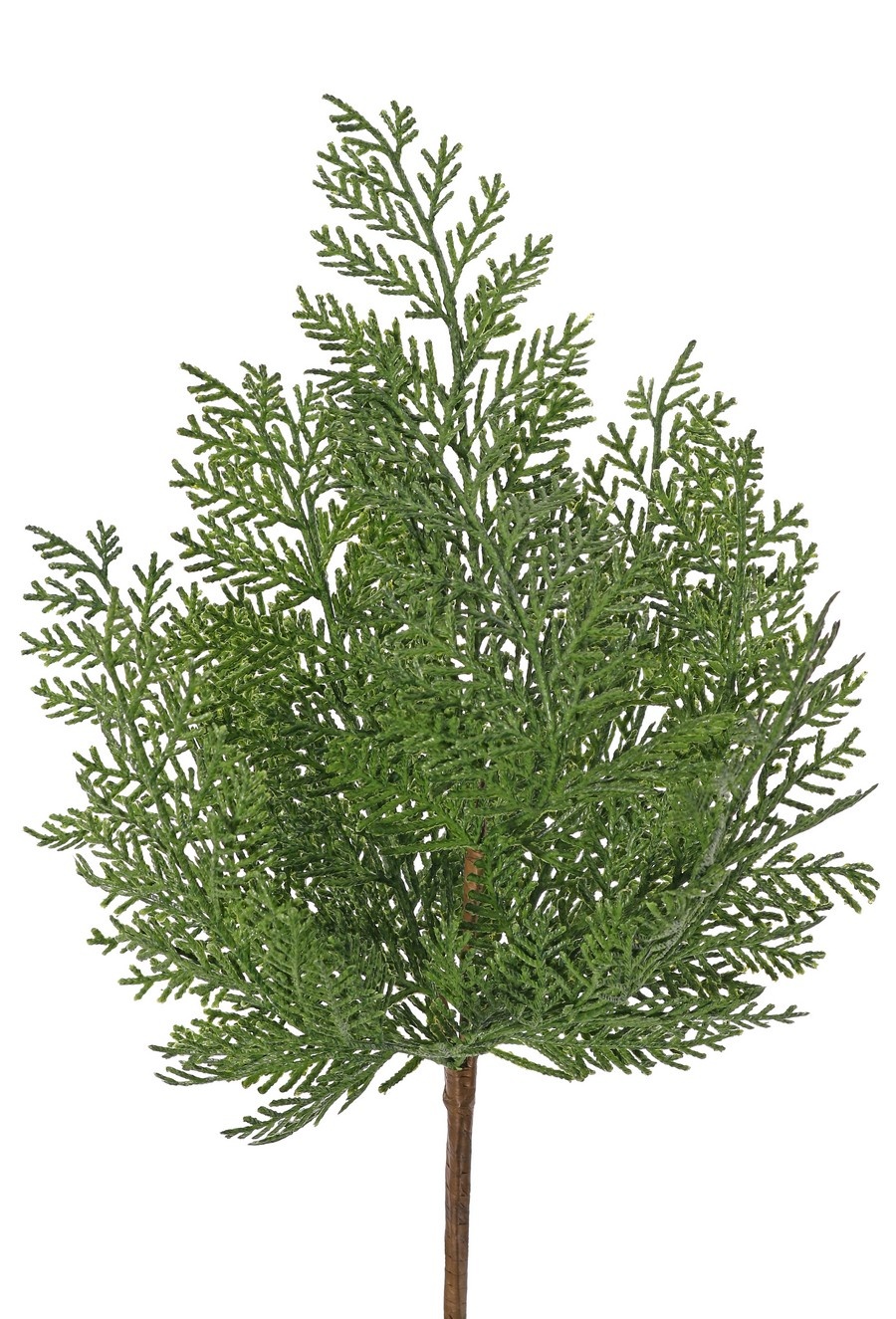 Mechón de Thuja (Árbol de la Vida) con 10 racimos de hojas, 48 cm, plástico