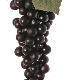 Druiventros (Vitis) met 90 druiven & 2 bladeren, 28 cm