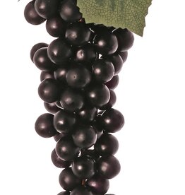 Weintrauben, 90 Stck. je Fruchtstand, mit 2 Blättern,28 cm