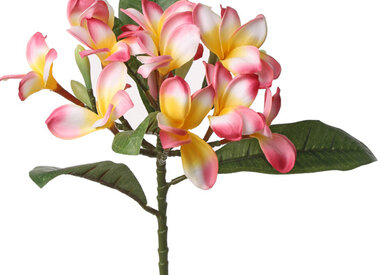 Kunstbloemen