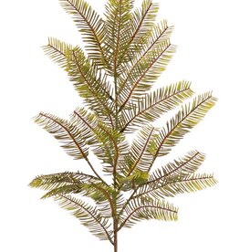 Fir branch (Abies) with 24 tufts of leaves with needles (12 x 4 cm), 57 cm