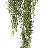 Beerenhänger Mini, 3-fach verzweigt (2x 30 cm, 1x 50 cm), 70 cm