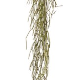 Rhipsalis (koraalcactus) met 3 hoofdvertakkingen, volplastic, 120 cm