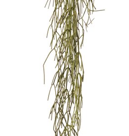 Rhipsalis (koraalcactus) met 3 hoofdvertakkingen, volplastic, 120 cm