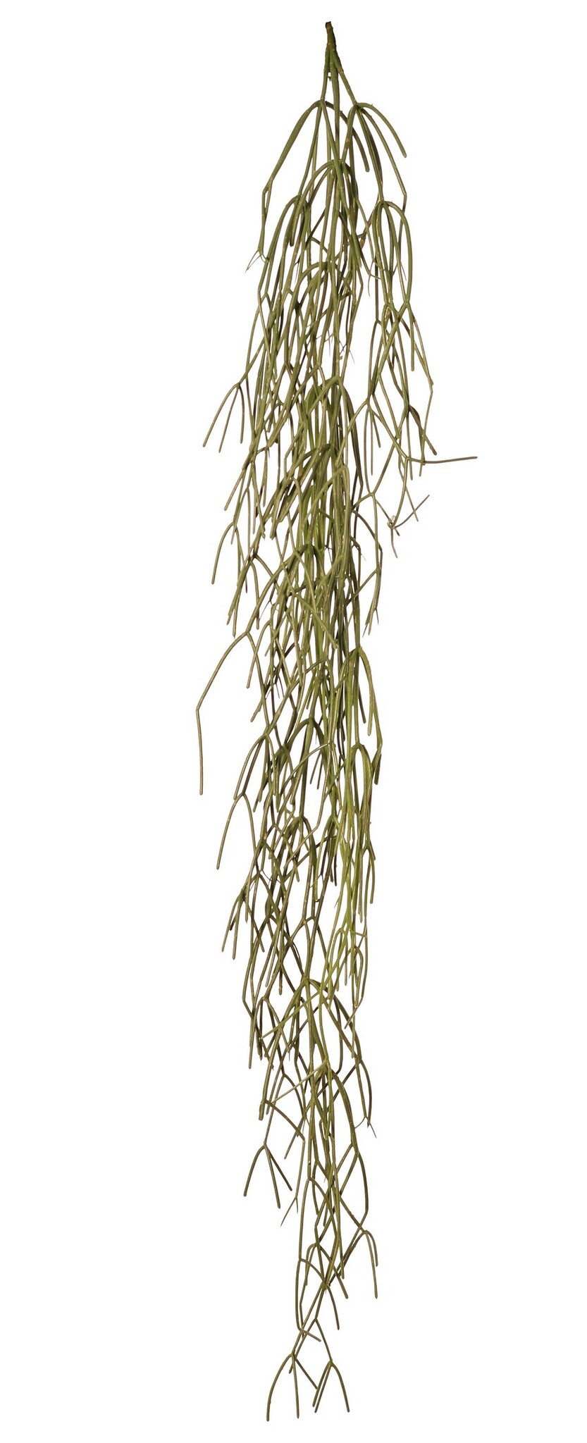Rhipsalis (Korallenkaktus) mit 3 Hauptästen, Plastik, 120 cm