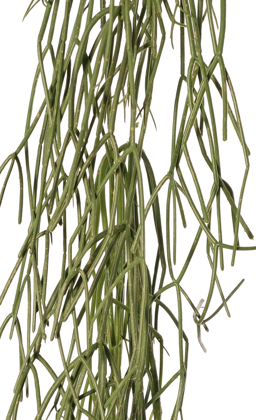 Rhipsalis (Korallenkaktus) mit 3 Hauptästen, Plastik, 120 cm