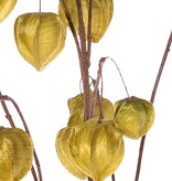 Rama de Physalis (planta de linterna) XL, 3 ramas grandes, con 20 linternas (13 L/2 M/5 S), 106 cm