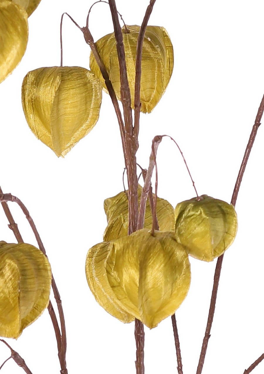Physalis-Zweig (Laternenpflanze) XL, 3 große Zweige, mit 20 Laternen (13 L/2 M/5 S), 106 cm
