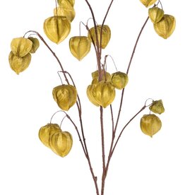 Physalistak (Lampionplant) XL, 3 grote vertakkingen, met 20 lampionnen (13 L/2 M/5 S), 106 cm