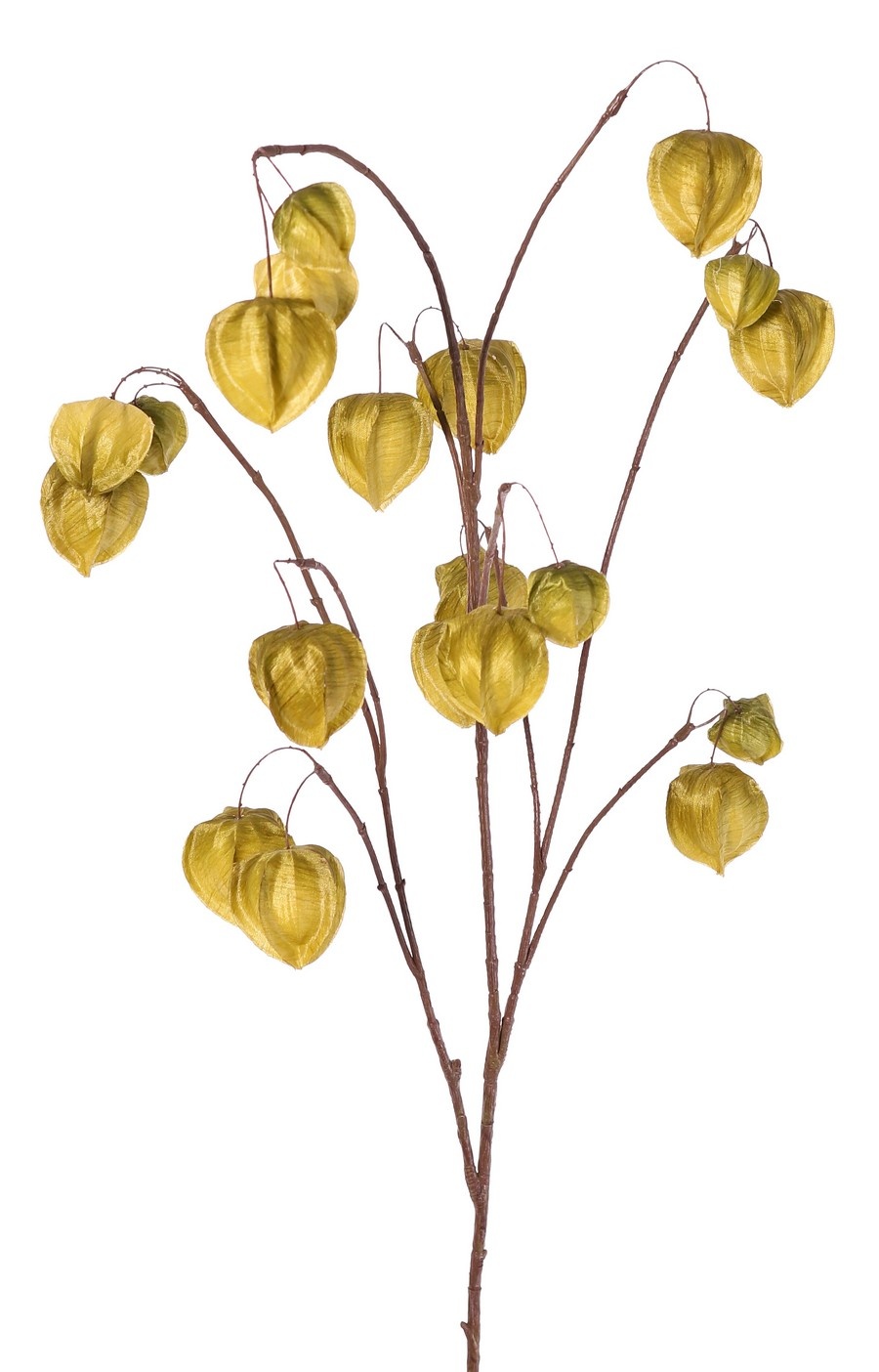 Physalistak (Lampionplant) XL, 3 grote vertakkingen, met 20 lampionnen (13 L/2 M/5 S), 106 cm