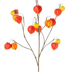 Physalistak (Lampionplant) XL, 3 grote vertakkingen, met 20 lampionnen (13 L/2 M/5 S), 106 cm -