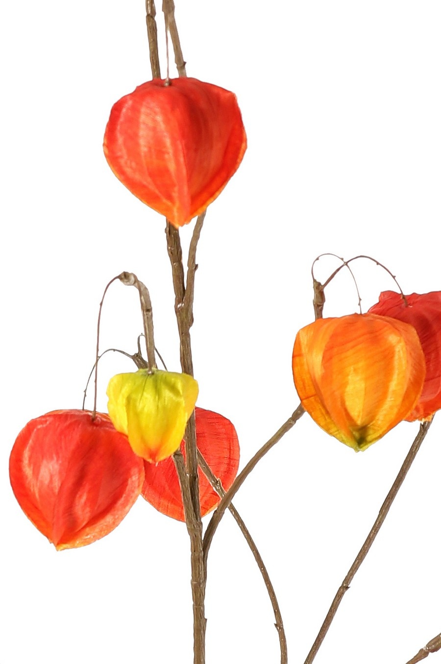 Physalis Branch (Lantern Plant) XL, 3 large branches, with 20 lanterns (13 L/2 M/5 S), 106 cm