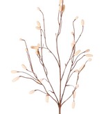 Wiesenknopf (Sanguisorba) mit 34 beflockten Blüten, ohne Blatt, 100 cm