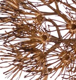 Allium 'Dried Beauty' XL, 55 flores, Ø 20 cm, plástico, 76 cm