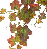 Druivenbladtak "Autumn" , 22 bladeren, 3 climbers, 72cm