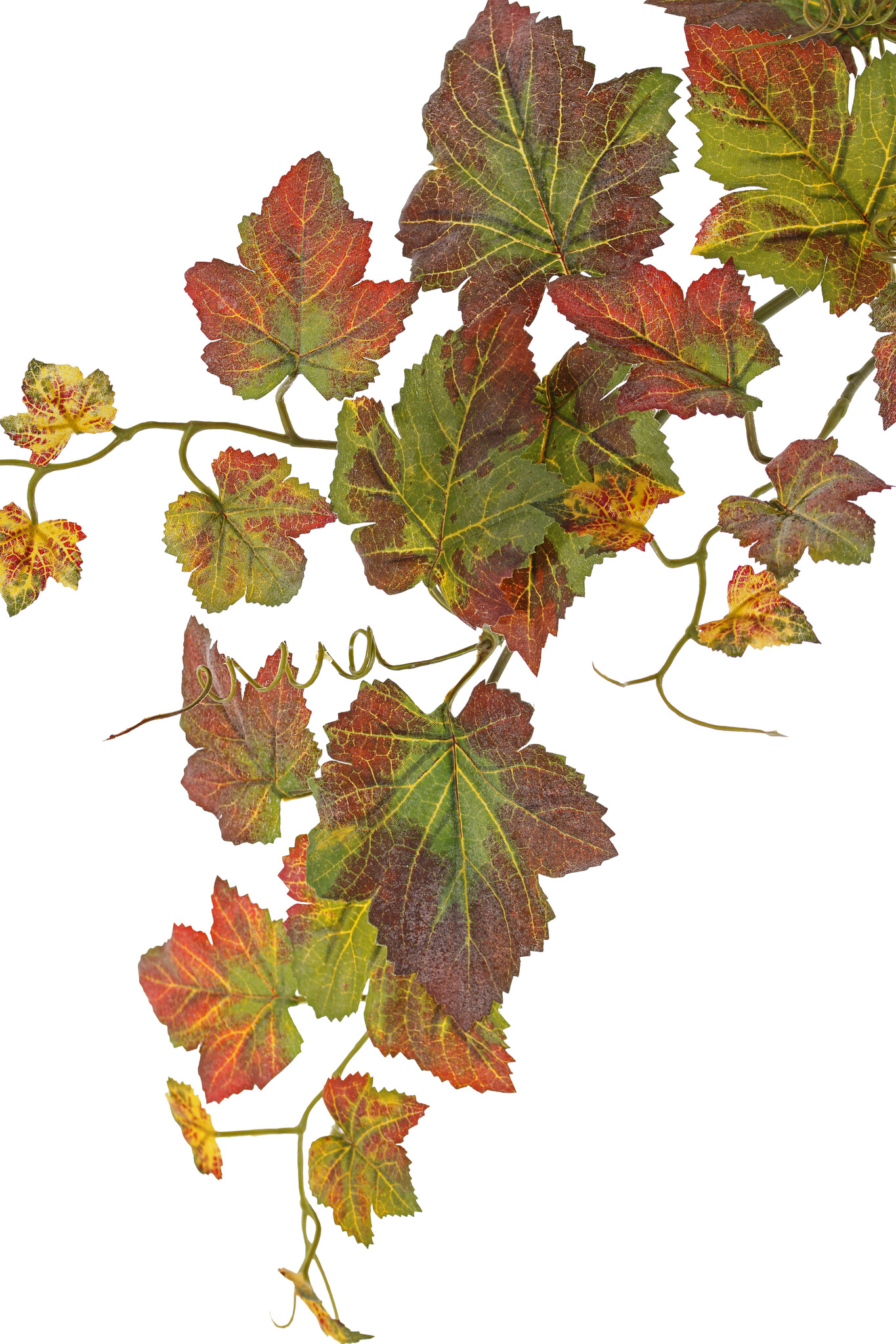 Druivenbladtak "Autumn" , 22 bladeren, 3 climbers, 72cm