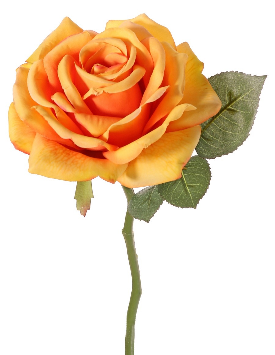 Rose de luxe "Fleuri", Ø 12cm, 5 leaves, 30cm