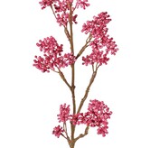 Callicarpatak, 7 bessenclusters (58 toefjes), volplastic, 43 cm