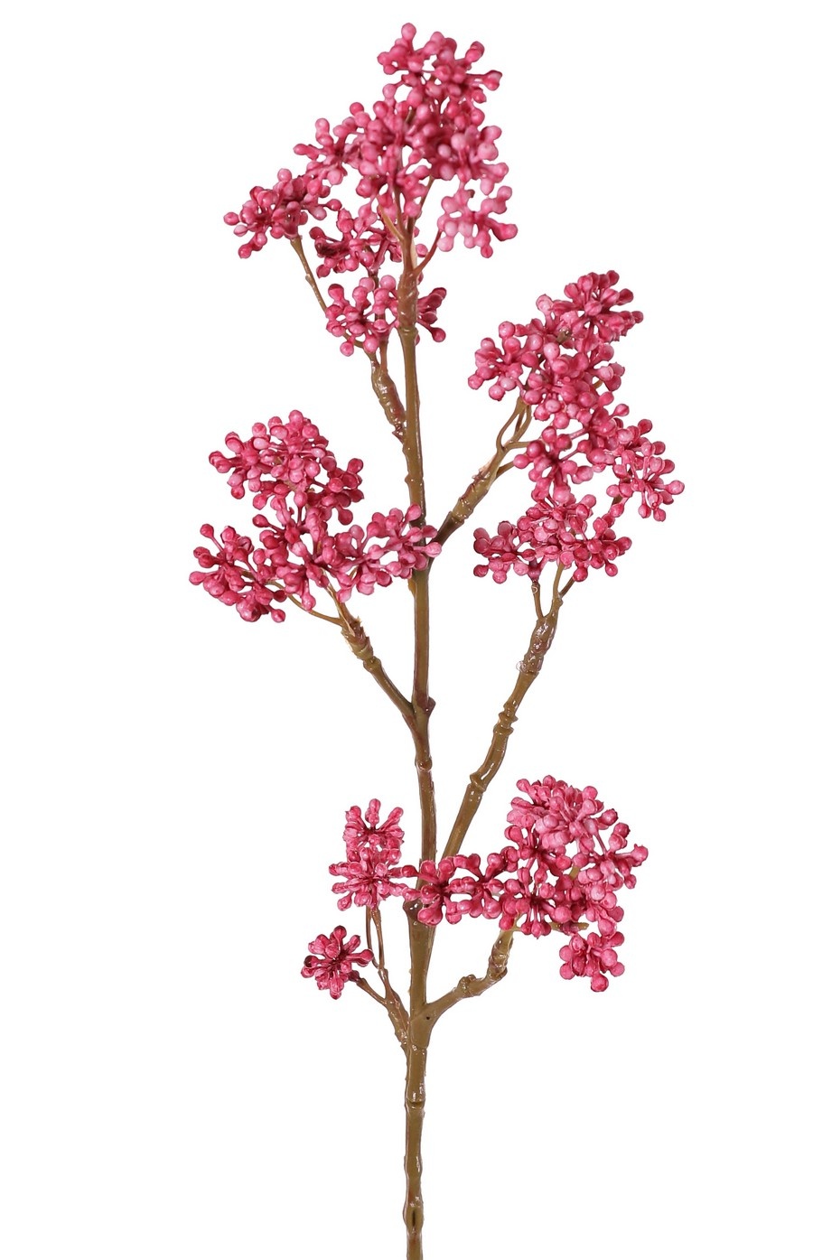 Callicarpa (beautyberry), 7 berry clusters, full plastic, 43 cm