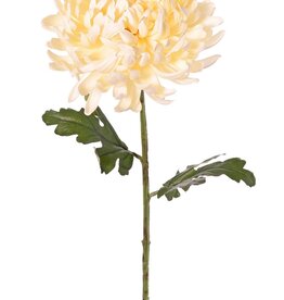 Crisantemo bola (Chrysanthemum) XL con 1 flor Ø 20 cm, H 9 cm y 2 hojas, 80 cm