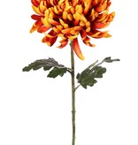 Crisantemo bola (Chrysanthemum) XL con 1 flor Ø 20 cm, H 9 cm y 2 hojas, 80 cm