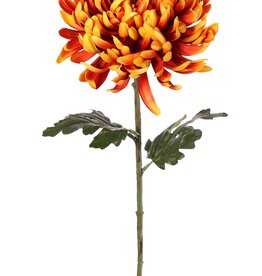 Crisantemo bola (Chrysanthemum) XL con 1 flor Ø 20 cm, H 9 cm y 2 hojas, 80 cm