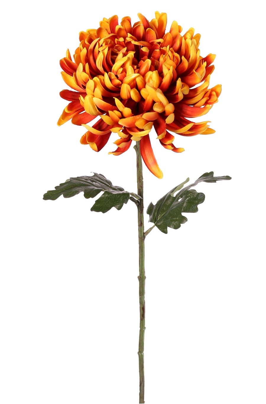 Kugelchrysantheme (Chrysanthemum) XL mit 1 Blüte Ø 20 cm, H 9 cm & 2 Blättern, 80 cm