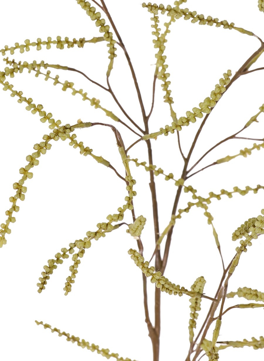 Tamarisk (Tamarix) bud branch, 5 branches with 43 bud bundles, full plastic, 100 cm