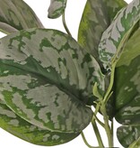 Arbusto de Scindapsus (Epipremnum), 3 veces ramificado con 13 hojas de poliéster, ignifugo