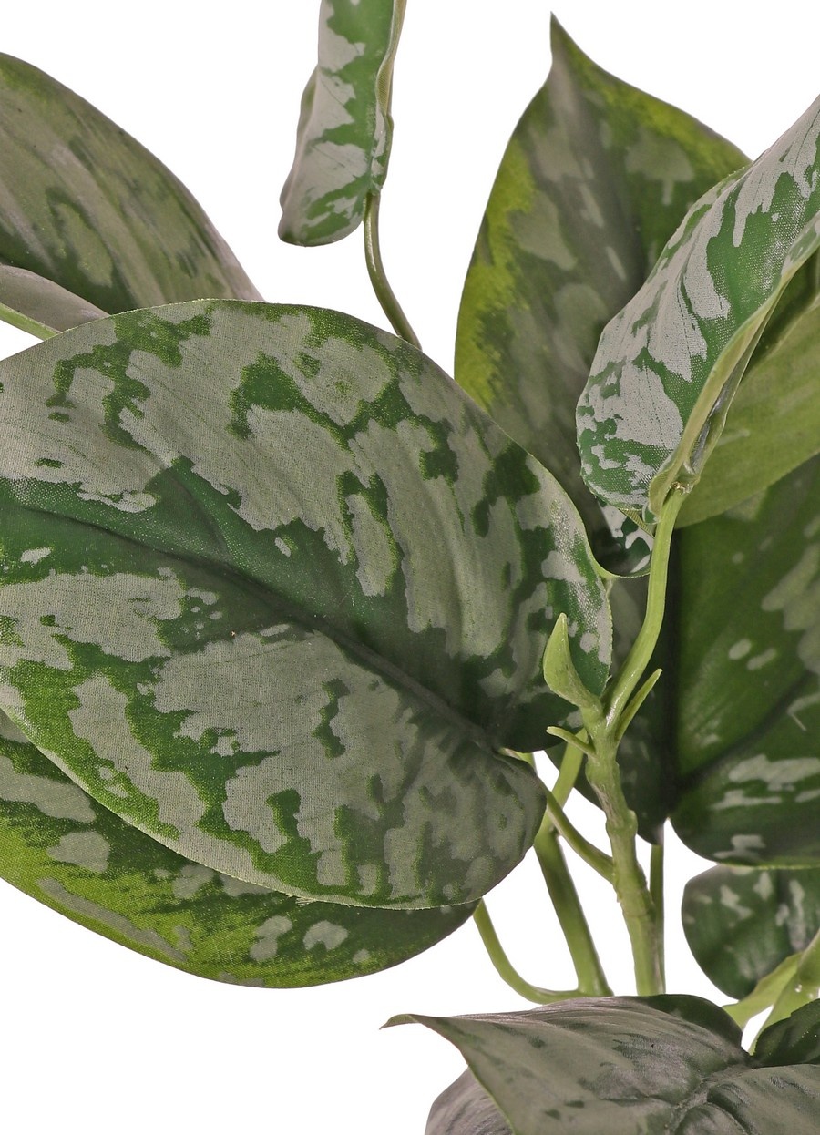 Scindapsus-Strauch (Epipremnum), 3-fach verzweigt mit 13 Polyesterblättern, schwer entflammbar