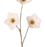 Helleborus tak (kerstroos), met 3 bloemen, steelkleur: goud: 69 cm "Winter Dream"