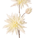 Dahlia branch with 2 flowers (1x Ø 15cm, 1x Ø 13cm) and a bud, stem color: gold, 69cm, "Winter Dream"