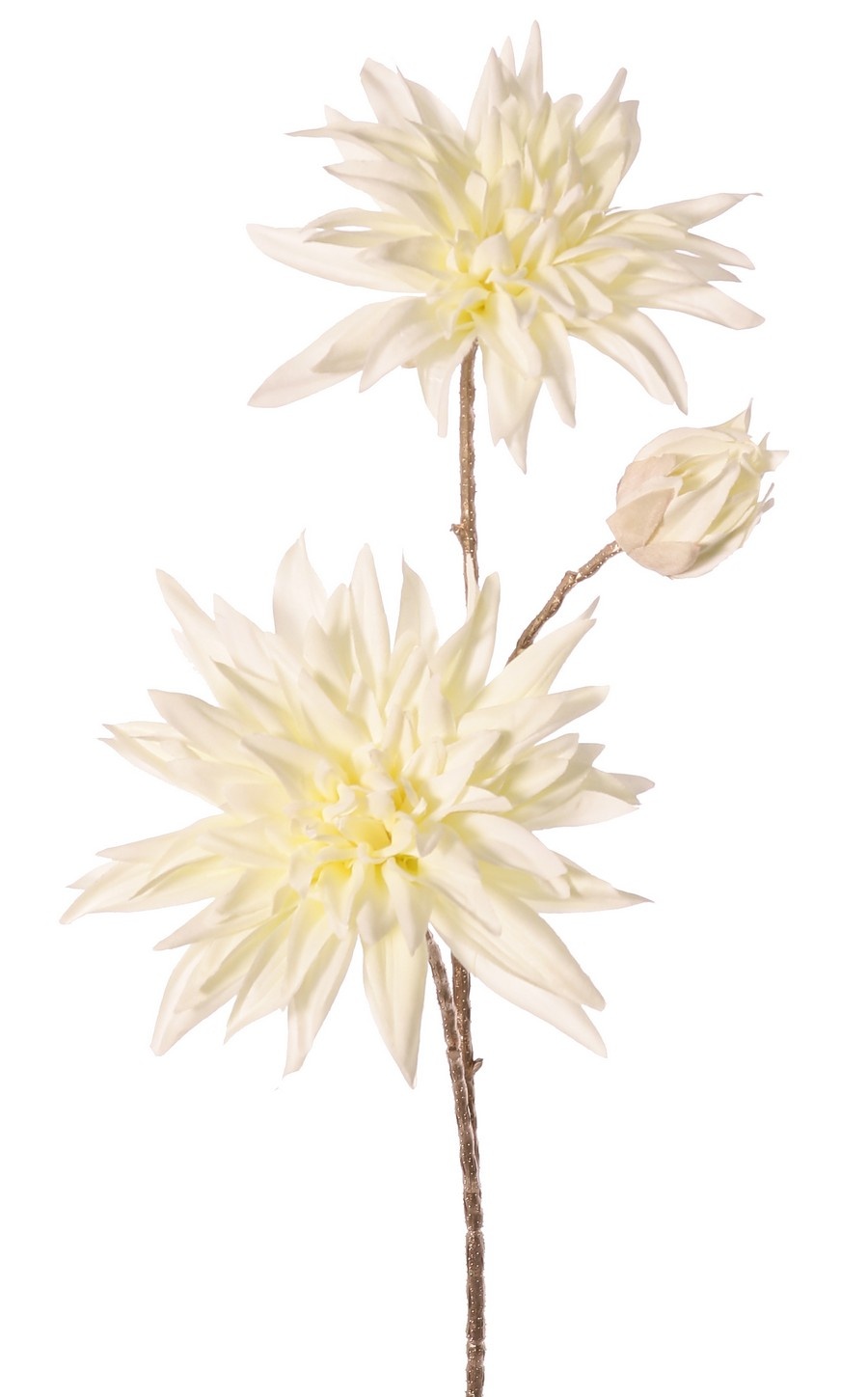 Rama de dalia con 2 flores (1x Ø 15cm, 1x Ø 13cm) y un capullo, color del tallo: dorado, 69cm, "Sueño de invierno"