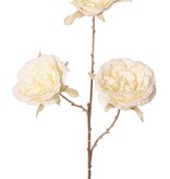 Rama de rosa de col con 3 flores, color del tallo: dorado, 69 cm "Sueño de invierno"
