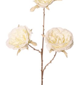 Velvet Cabbage Rose Spray x 3 Flrs W/Plastic Gold Stem, 69 cm "Winter Dream"